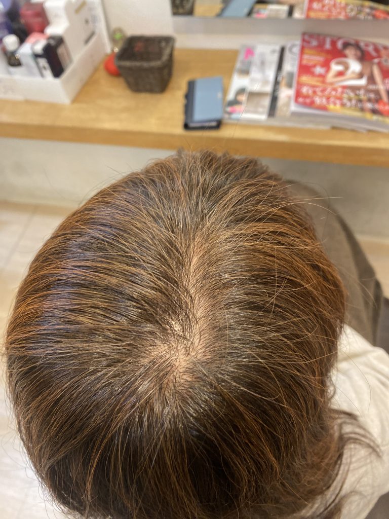 ノンジアミン100%天然ヘナ(ナチュラル) | 不動前駅徒歩1分の隠れ家サロン|美容室フォーマイル