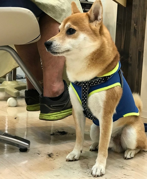 ペットとご一緒にどうぞ～♪