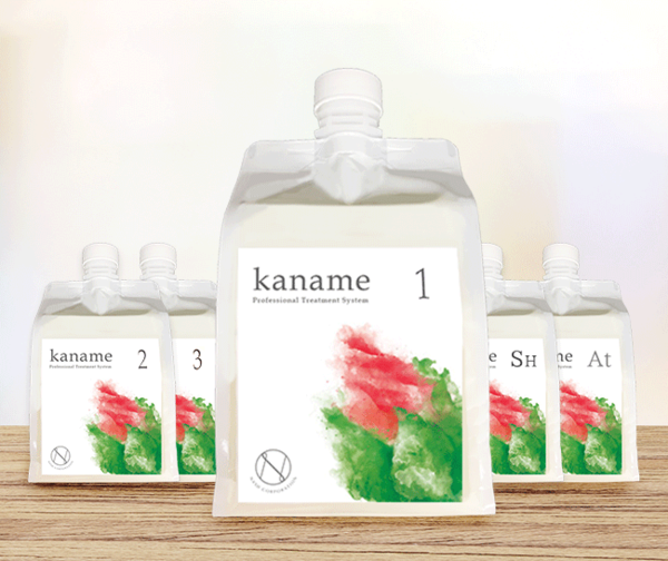 Ｋａｎａｍｅトリートメント＝花菜芽＝のご紹介