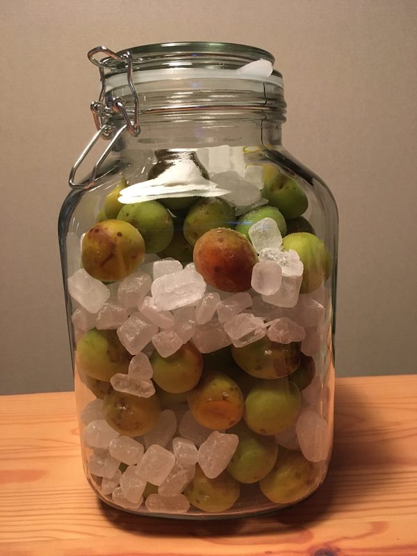 夏・梅ジュース