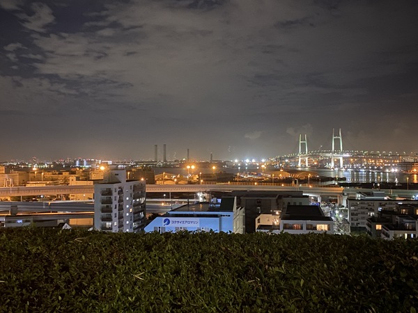 たまには散歩してリフレッシュ