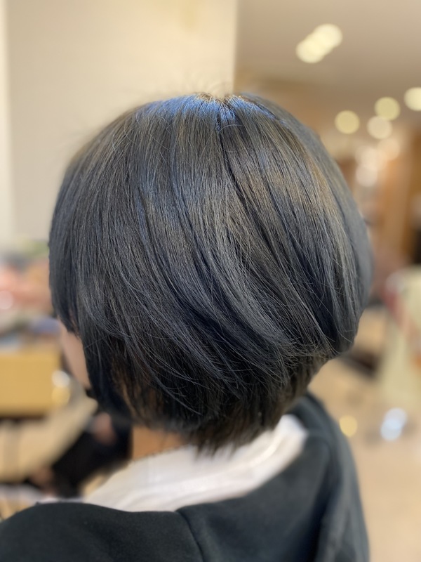 グラボブ　深みアッシュ