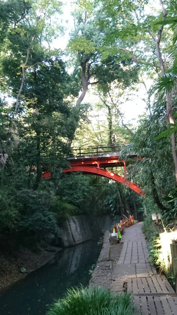 都会のオアシス