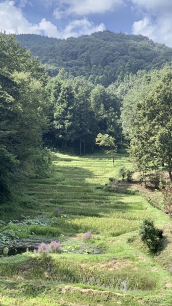 ホタル観賞！！