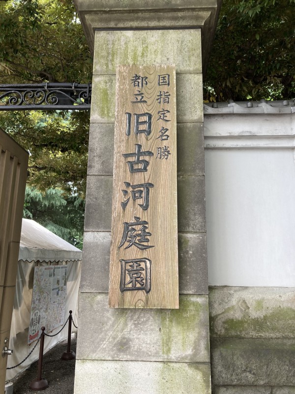 気になってた旧古河庭園に行って来ました！